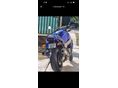 HONDA CBR 1100 XX 2000/12 - 7