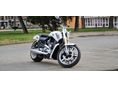 HARLEY-DAVIDSON VRSC V-ROD MUSCLE /VRSCF/
