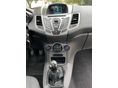 FORD FIESTA 2015/3 - 12