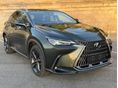 LEXUS NX 2023/12 - 4