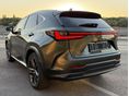 LEXUS NX 2023/12 - 3