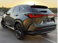LEXUS NX 2023/12 - 7