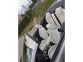 FORD FOCUS 2007/6 - 9