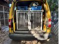 VOLKSWAGEN CADDY 2008/9 - 7