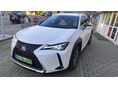 LEXUS UX 2020/12 - 11