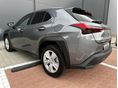 LEXUS UX 2022/8 - 8