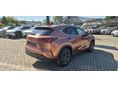 LEXUS NX 2025/11 - 5