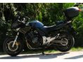 HONDA CBF 600 2005/6 - 3