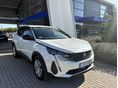 PEUGEOT 3008 2022/5 - 1