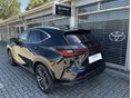 LEXUS NX 2025/7 - 2