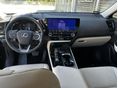 LEXUS NX 2025/7 - 6