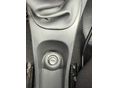 DACIA DUSTER 2017/10 - 12