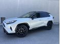 TOYOTA RAV 4 Rav4 2.5 Hybrid Selection AWD e-CVT Skyview - 19.000.-km