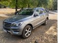 MERCEDES-BENZ ML 250 BlueTEC (Automata)