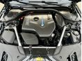 BMW 530 2019/7 - 23