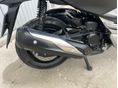 HONDA NSS 300 FORZA 2019/3 - 6