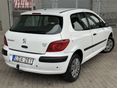 PEUGEOT 307 2005 - 6