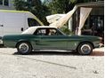 FORD MUSTANG 1967/5 - 11