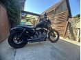HARLEY-DAVIDSON SPORTSTER 1200 NIGHTSTER XL 1200 N