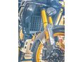 VOGE DS800X RALLY 2026 - 9