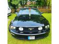FORD MUSTANG 2006/11 - 6