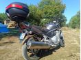SUZUKI GSF 650 2008/9 - 2