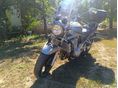 SUZUKI GSF 650 2008/9 - 5