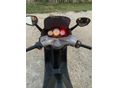PEUGEOT ELYSTAR 125 2006/3 - 7