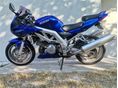 SUZUKI SV 1000 S 