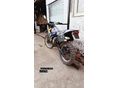 RIEJU RR 50 AM6 2002/9 - 4