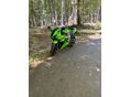 KAWASAKI ZX-6R (NINJA) 