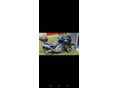 SUZUKI DL 650 2004/3 - 10