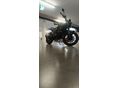 BENELLI LEONCINO 250 2022/4 - 7
