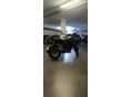 BENELLI LEONCINO 250 2022/4 - 8