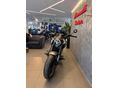 MORBIDELLI C1002V 2024 - 2