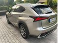 LEXUS NX 2020/1 - 6