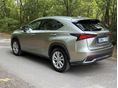 LEXUS NX 2021/1 - 4