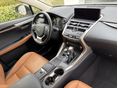 LEXUS NX 2021/1 - 9