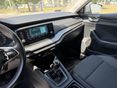 SKODA OCTAVIA 2021/4 - 17