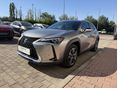 LEXUS UX 2022/5 - 5
