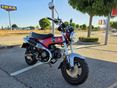 HONDA ST 125 DAX ABS Újszerű 840km