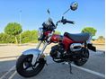 HONDA ST 125 DAX 2023/7 - 2