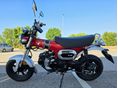 HONDA ST 125 DAX 2023/7 - 3