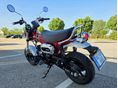 HONDA ST 125 DAX 2023/7 - 4