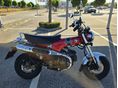 HONDA ST 125 DAX 2023/7 - 6