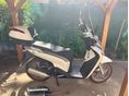 HONDA SH 150 