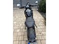 TRIUMPH TRIDENT 2025/7 - 4