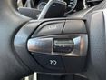 BMW X5 2016/2 - 22