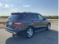 MERCEDES-BENZ ML 350 2014/4 - 9