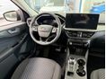 FORD KUGA 2025/11 - 5